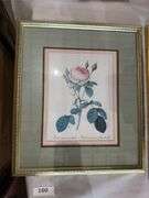 4 fruit and 6 rose framed prints