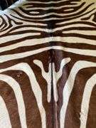 Zebra rug 80”L x 72”w genuine steer hide