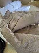 Left side of closet: rollerblades, backpack, brown velour pillows, king size pillow,  small comforters  50” X 65”,