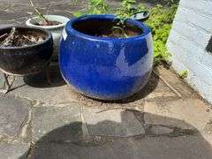 4 pots 1 large. Bring help