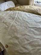 Left side of closet: rollerblades, backpack, brown velour pillows, king size pillow,  small comforters  50” X 65”,