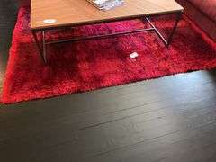 73”x 80” shag rug