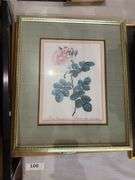 4 fruit and 6 rose framed prints