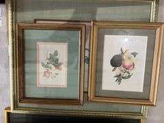 4 fruit and 6 rose framed prints