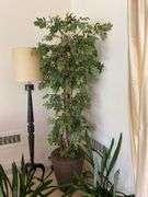 Artificial tree in large resin pot, 88” h