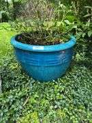 2 flower pots