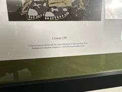 Coyote 139 by Harry Fonseca (Published Print) 17 x 20”
