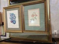 4 fruit and 6 rose framed prints