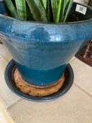 Large blue ceramic planter with live plants in and wicker basket