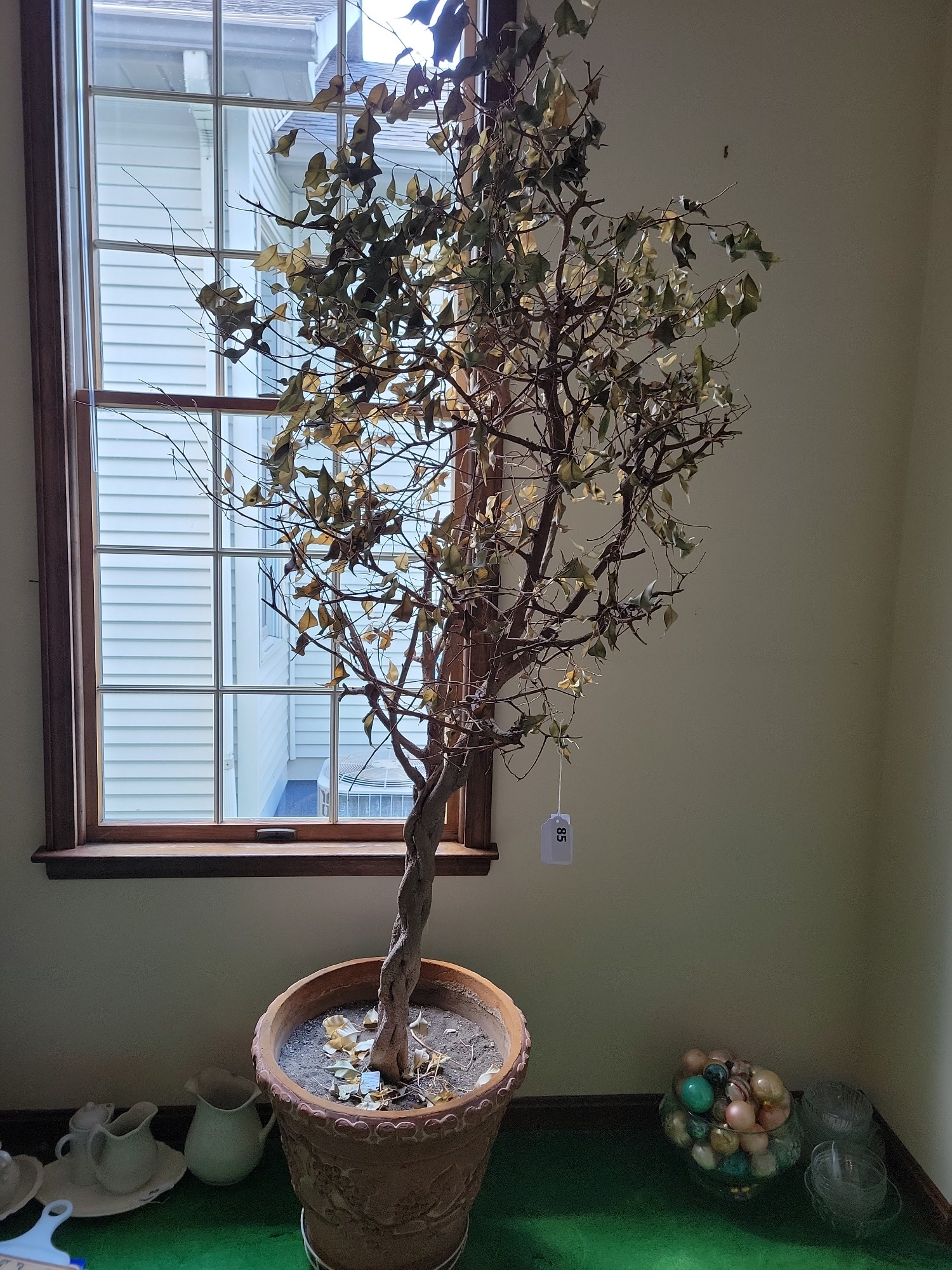 Lot image 1