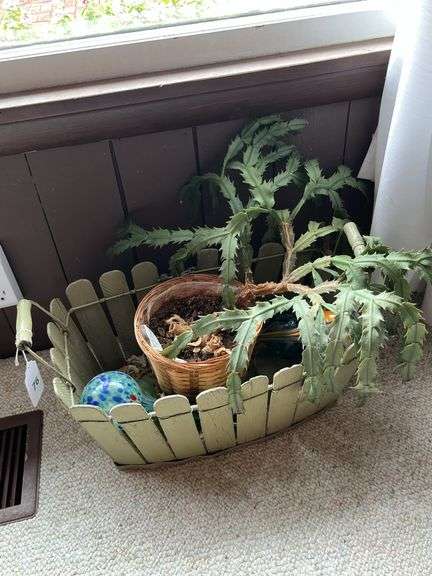 Basket, Christmas cactus, water globes