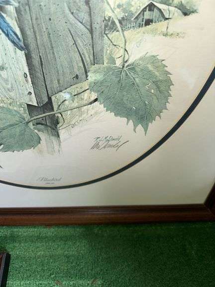 Lot of landscape themed framed pictures