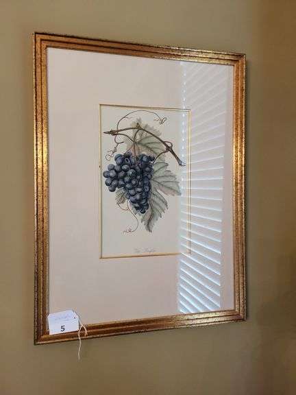 Pair Framed Fruit Prints  21½ x 28½