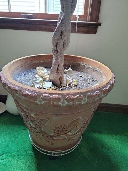 Fiscus Tree w/ Faux Terracotta Pot