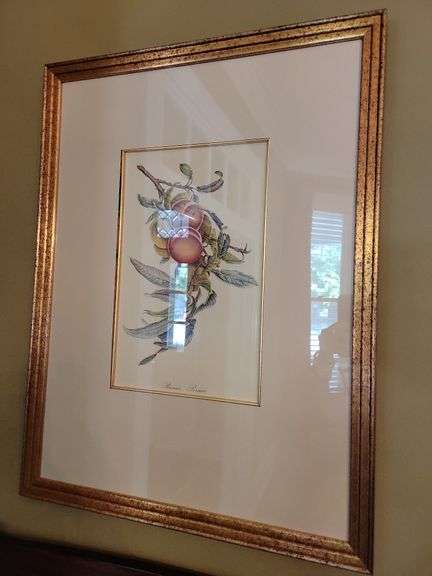 Pair Framed Fruit Prints  21½ x 28½