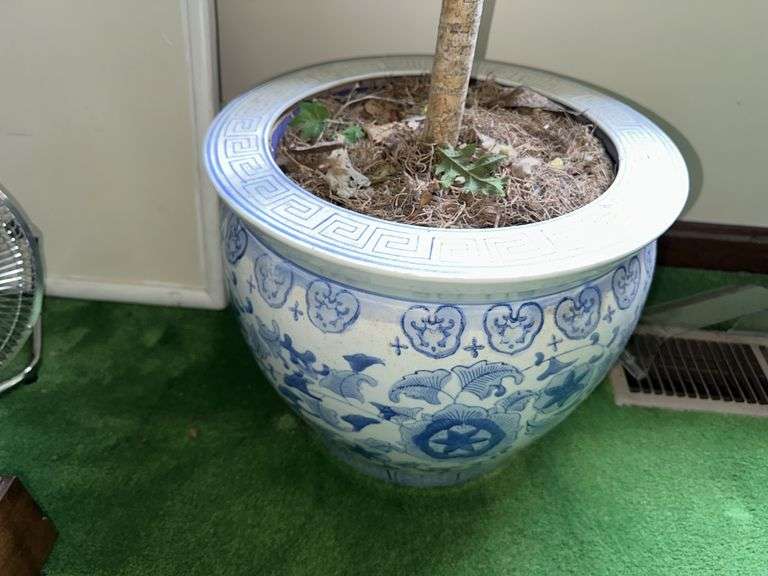Blue and white planter with artificial ficus tree 6’ tall