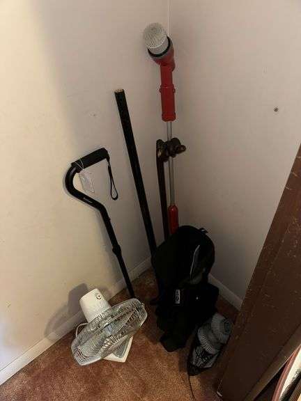 Cane, walking stick, fan, boot, scrubber, over the door shoe organizer