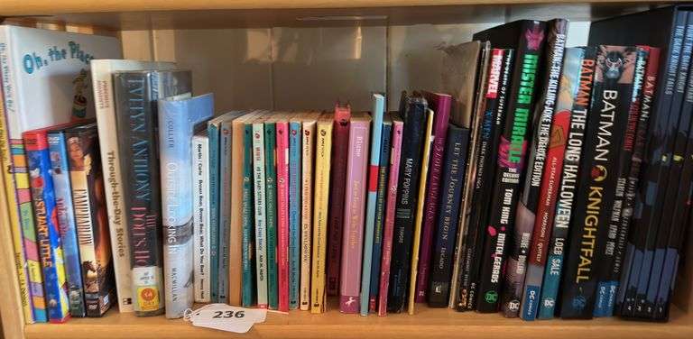 2nd shelf of children’s books image