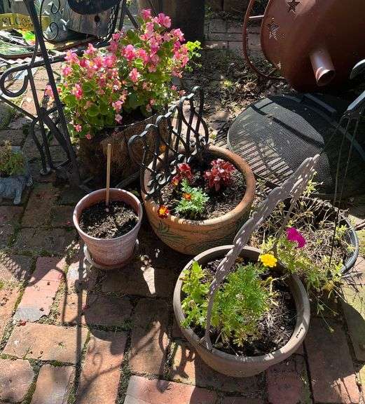 Potted plants, wire basket image