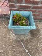 Outside decor, crock with chips on lip, insulator, concrete pedestal, 4 plastic pots with flowers
