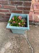 Outside decor, crock with chips on lip, insulator, concrete pedestal, 4 plastic pots with flowers