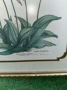 Lot of floral themed framed pictures, 2 are artist signed