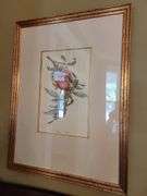Pair Framed Fruit Prints  21½ x 28½