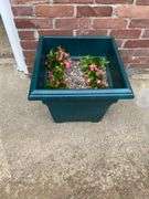 Outside decor, crock with chips on lip, insulator, concrete pedestal, 4 plastic pots with flowers