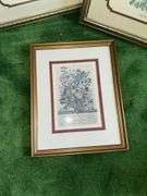Lot of floral themed framed pictures, 2 are artist signed