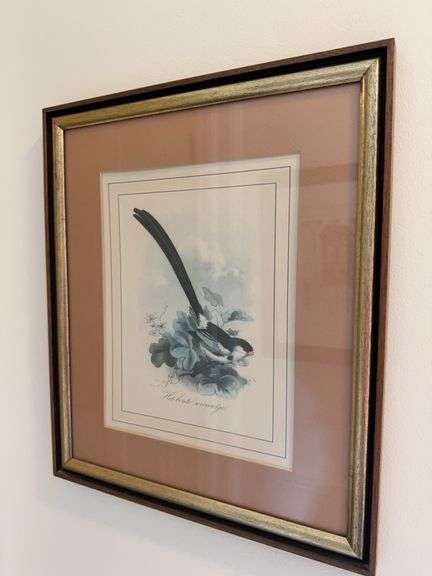 Framed bird print 14” x 16.5” image