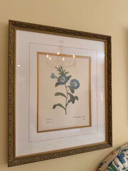 3 gold framed botanical prints 18 x 20.5 image