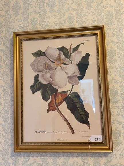 Framed magnolia print 22" x 28"￼ image