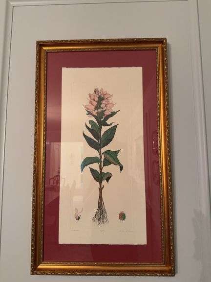 Signed and numbered limited edition  384/950 framed print image