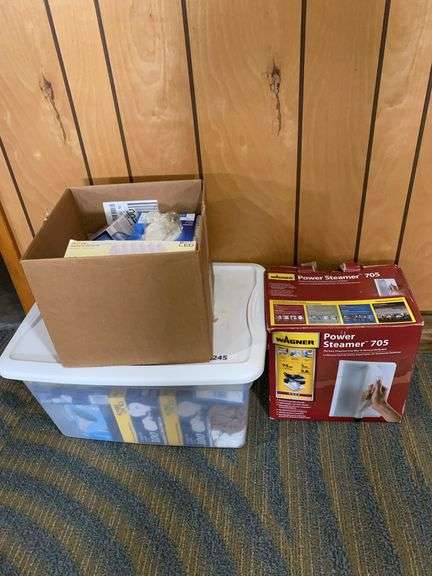Light bulbs, power steamer (used) image