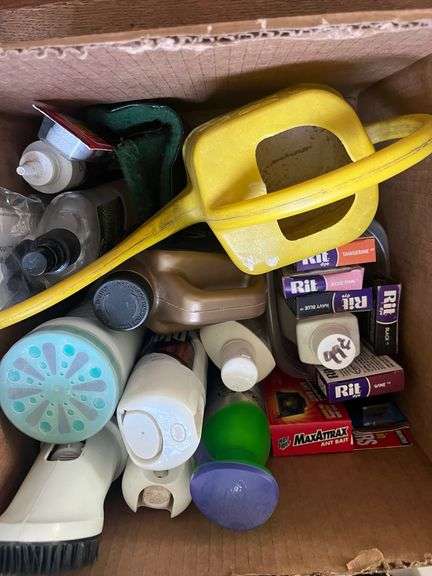 Watering can and misc cleaning supplies image