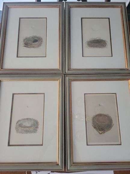 Framed FO Morris Egg and Nests -- Bearded Tit, Bullfinch, Coleman Tit       13 x 16. 4 pieces image