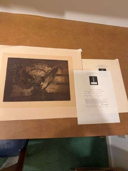 "Night Flying Owley Bird" limited edition print 18" x 15", signed artwork, frames, digital picture frame image