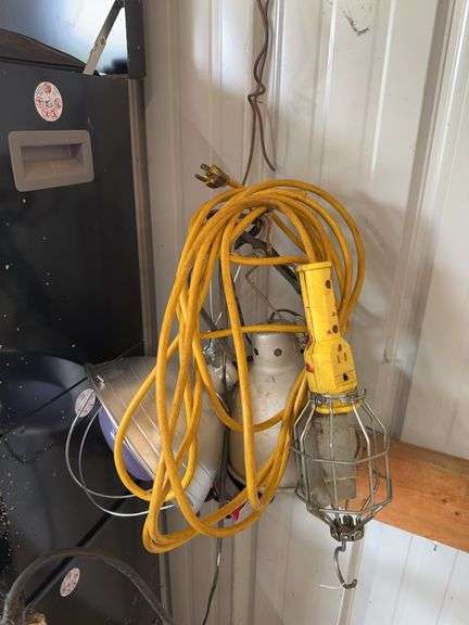 Drop cord and lights image