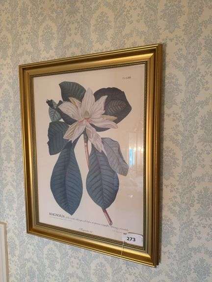 Framed magnolia print 22" x 28"￼ image