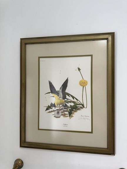 Framed Ray Harm bird print 18.5” x 22.5” image