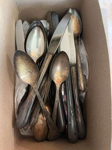 WA Rogers Oneida plated image