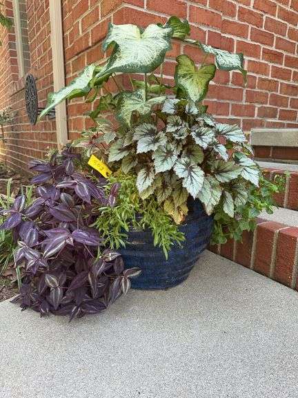 3 glazed clay planters image