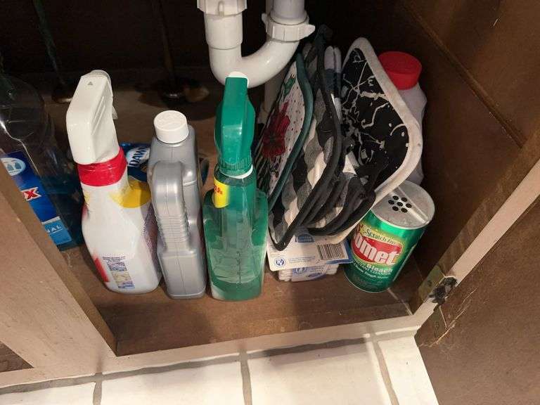 Contents of cabinet under sink image