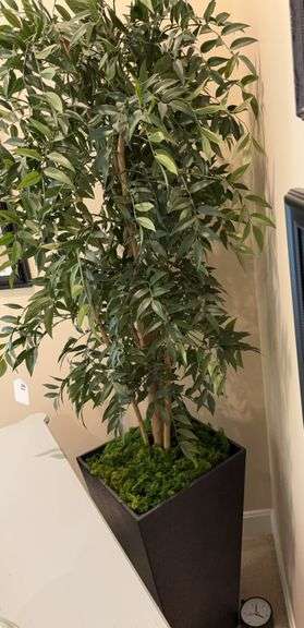 Artificial plant in resin pot 77" r image