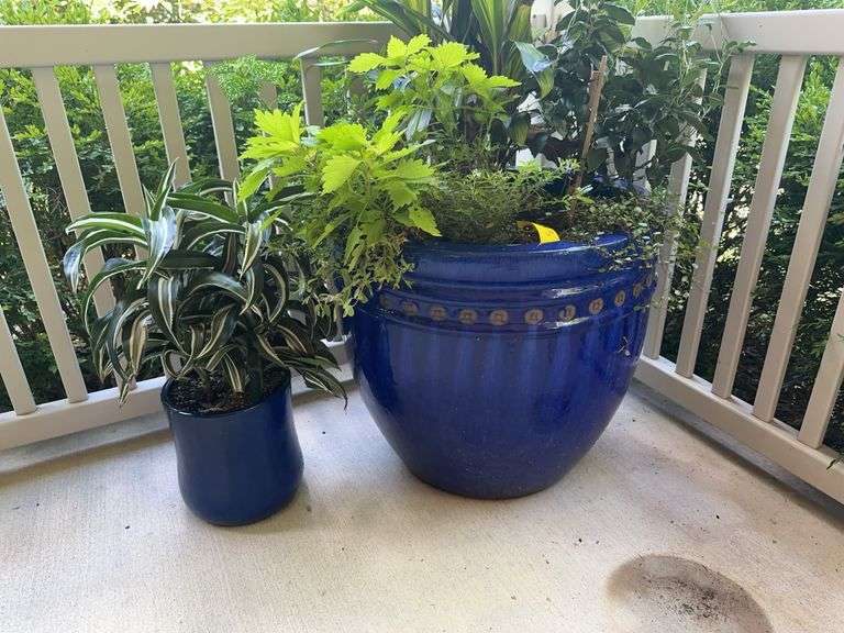 2 glazed clay planters with plants image