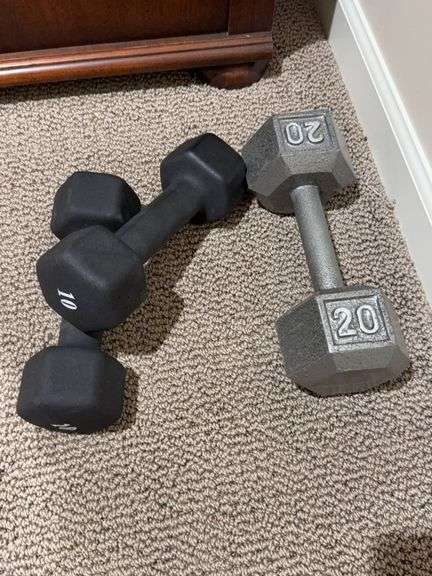 2 - 10 lb & 1 - 20 lb weights image