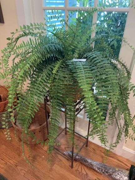 Artificial fern w/ 28” metal stand image