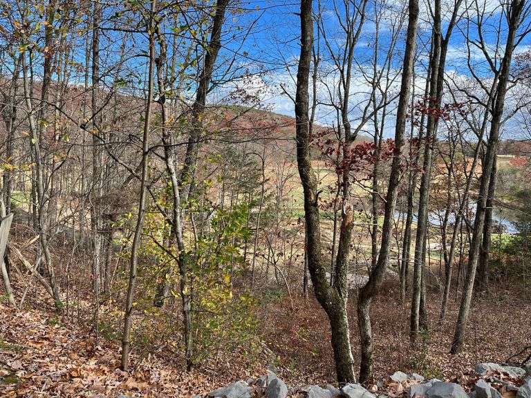 Wooded Lot in McLemore Development on Lookout Mtn