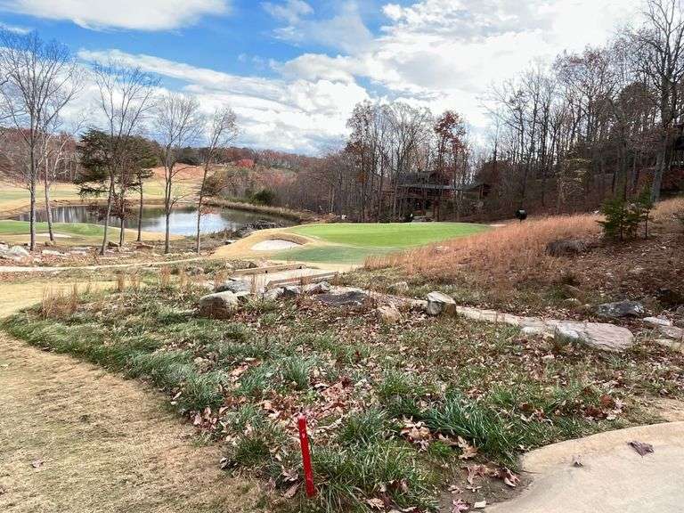Wooded Lot in McLemore Development on Lookout Mtn