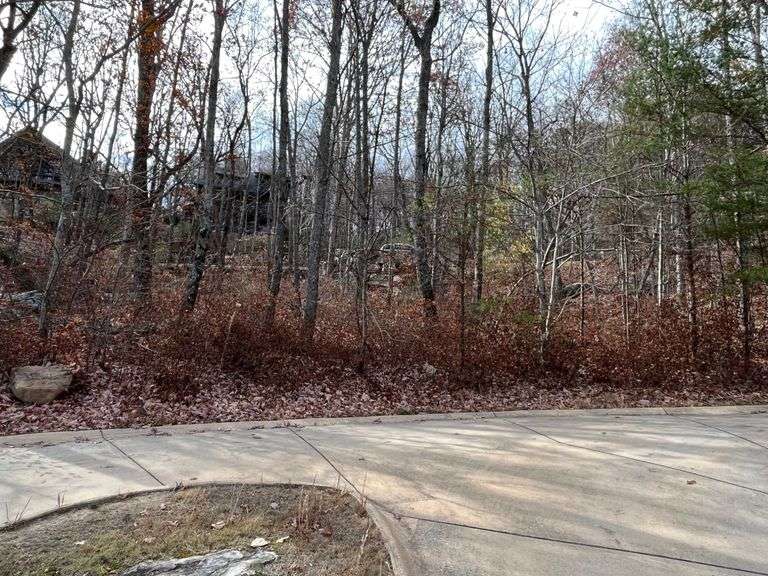 Wooded Lot in McLemore Development on Lookout Mtn